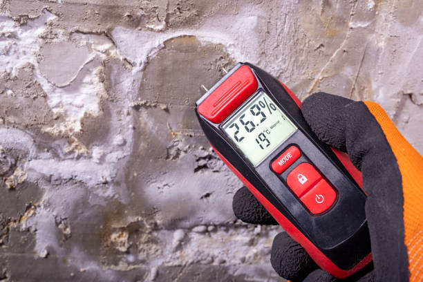 Best Black Mold Removal  in Cameron, WI
