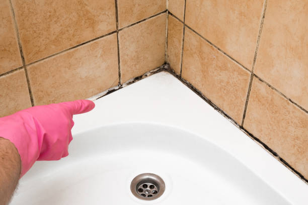 Best Mold Cleaning Services  in Cameron, WI